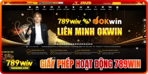 Giấy Phép hoạt động 789WIN – Phân Tích Pháp Lý 789WIN